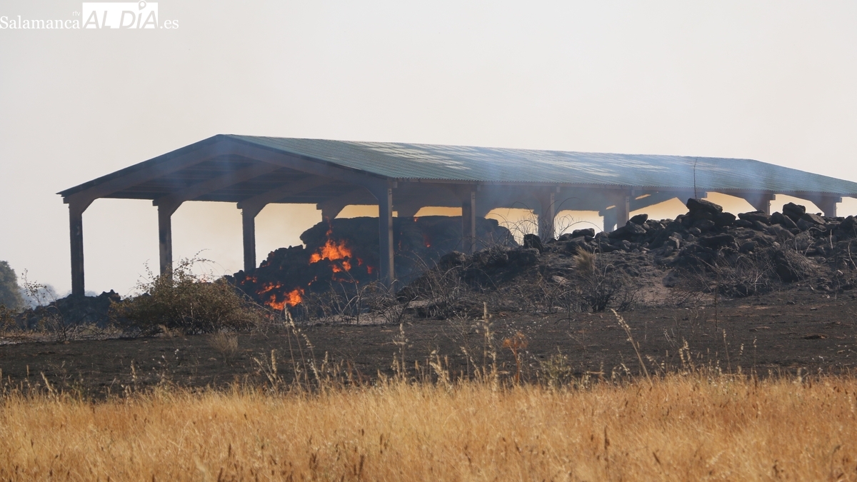 Vitigudino aprueba el reparto de paja a ganaderos afectados por el incendio