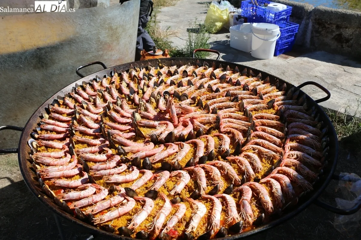 Peñas, familias y grupos de amigos compartieron mesa y mantel para dar cuenta de 380 raciones de paella / CORRAL
