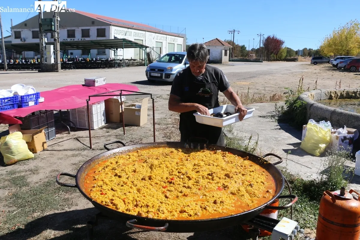 Peñas, familias y grupos de amigos compartieron mesa y mantel para dar cuenta de 380 raciones de paella / CORRAL