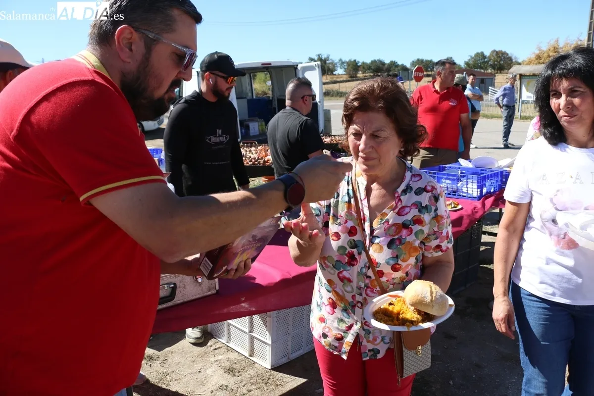 Peñas, familias y grupos de amigos compartieron mesa y mantel para dar cuenta de 380 raciones de paella / CORRAL
