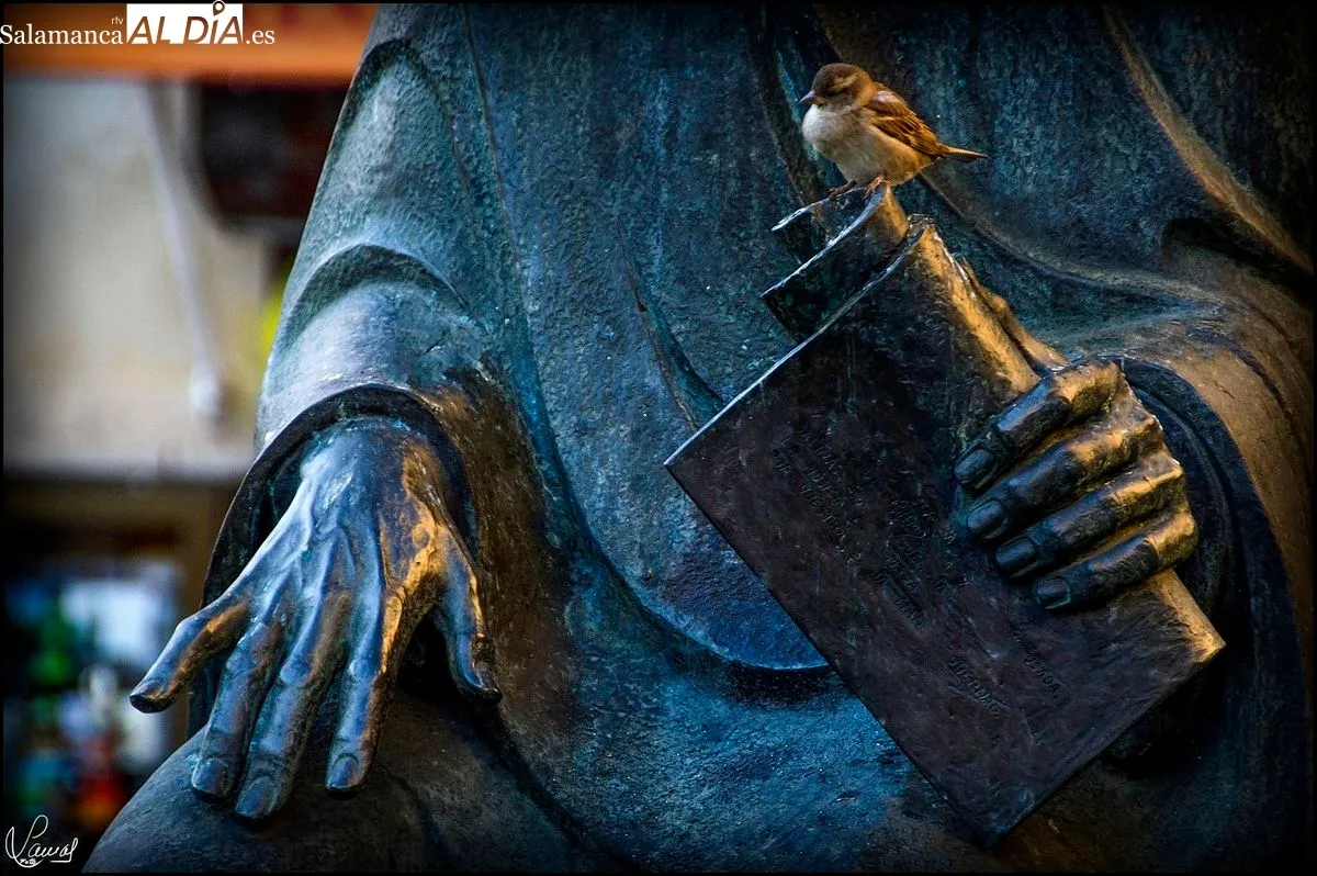 Fotografía tomada por Manuel Lamas para ilustrar el vídeo poema La paciencia