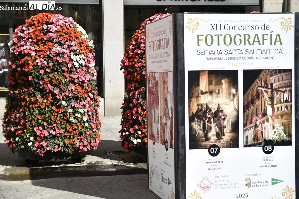 Expuestas en el centro de Salamanca las 40 fotografías candidatas al cartel de la Semana Santa 2026. Foto de SALAMANCArtv AL DÍA