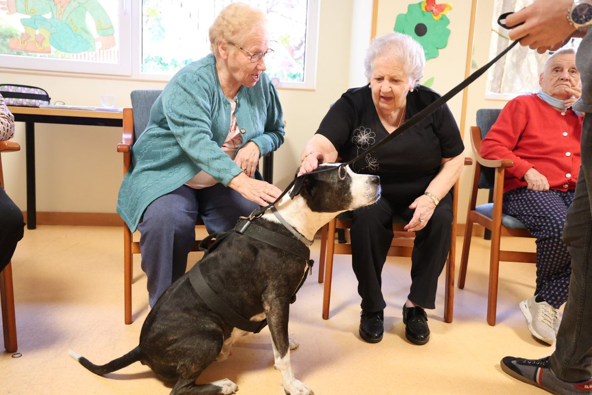 Centro de día Lazarillo de Tormes Salamanca