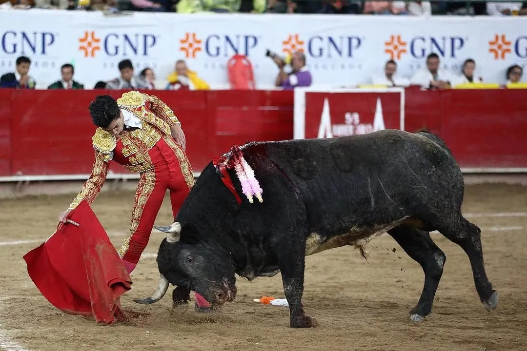 Marco Pérez en Guadalajara en su debut como matador de toros en México