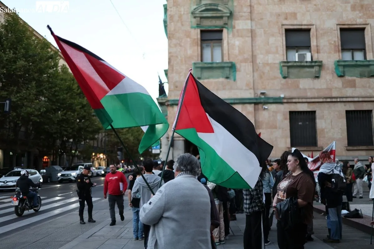 Manifestación de este domingo por Palestina. Foto: David Sañudo