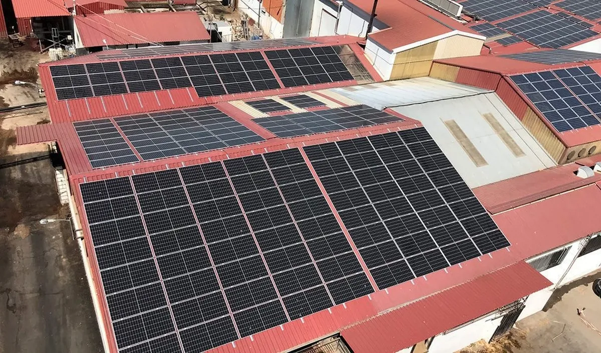 Placas solares sobre las cubiertas de las instalaciones de Dehesa Grande en Vitigudino