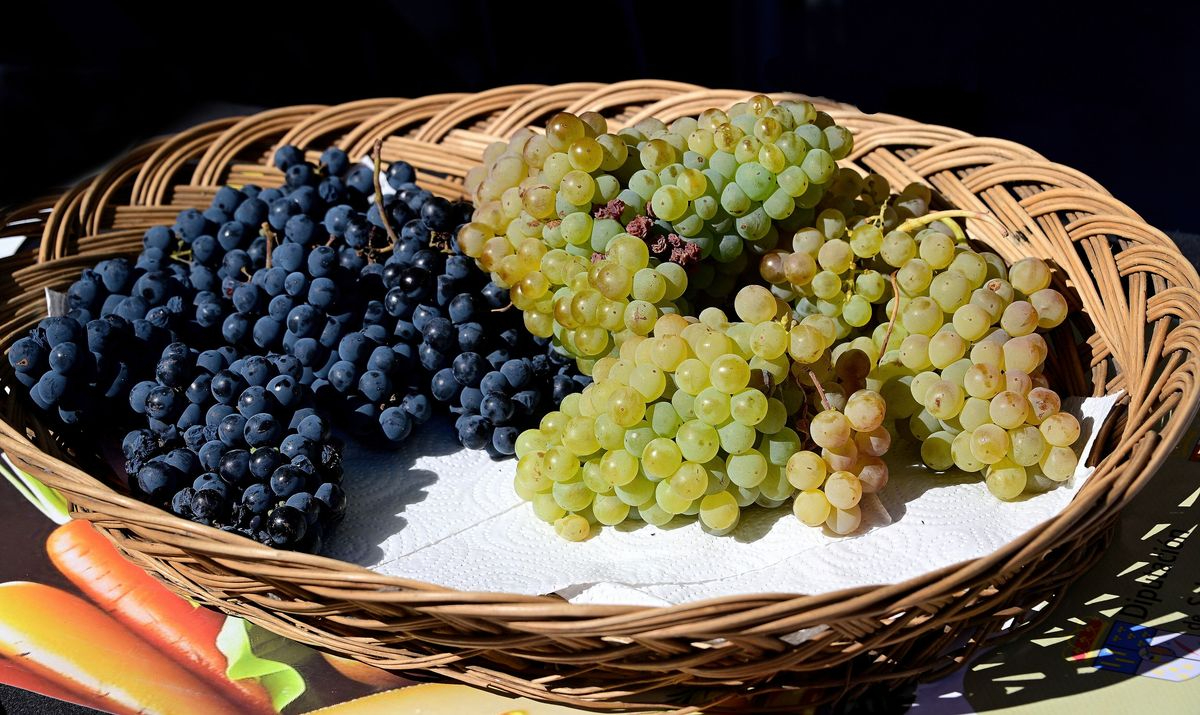 Cabrerizos, Feria de la Huerta