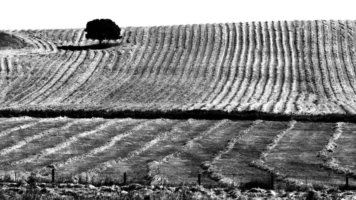 Villalba de los Llanos