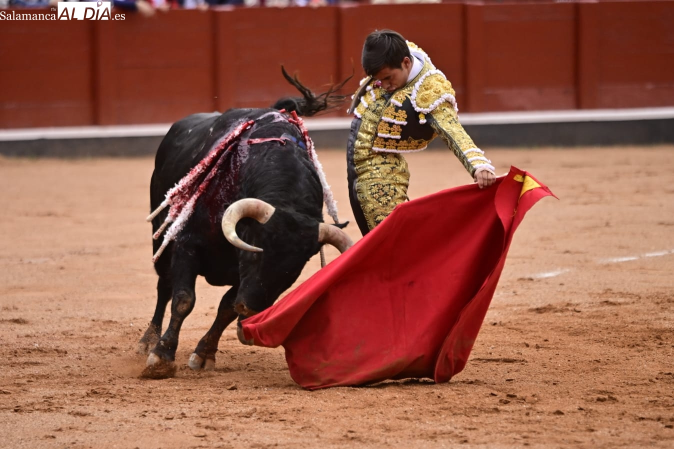 Ismael Martín, premio taurino en Vitigudino por su arte