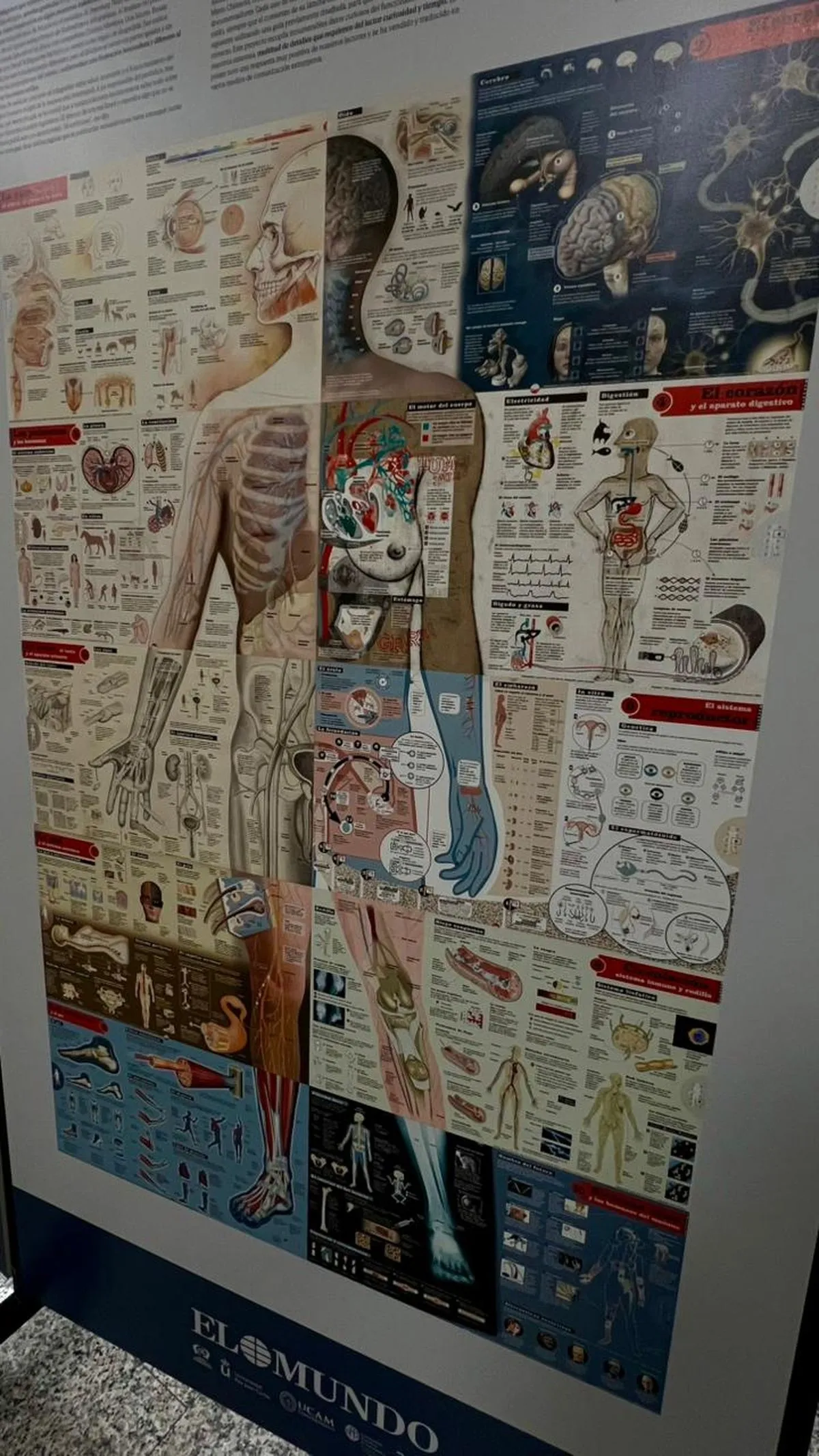 Foto 4 - La Facultad de Comunicaci&oacute;n de la UPSA acoge una exposici&oacute;n sobre 30 a&ntilde;os de infograf&iacute;a period&iacute;stica