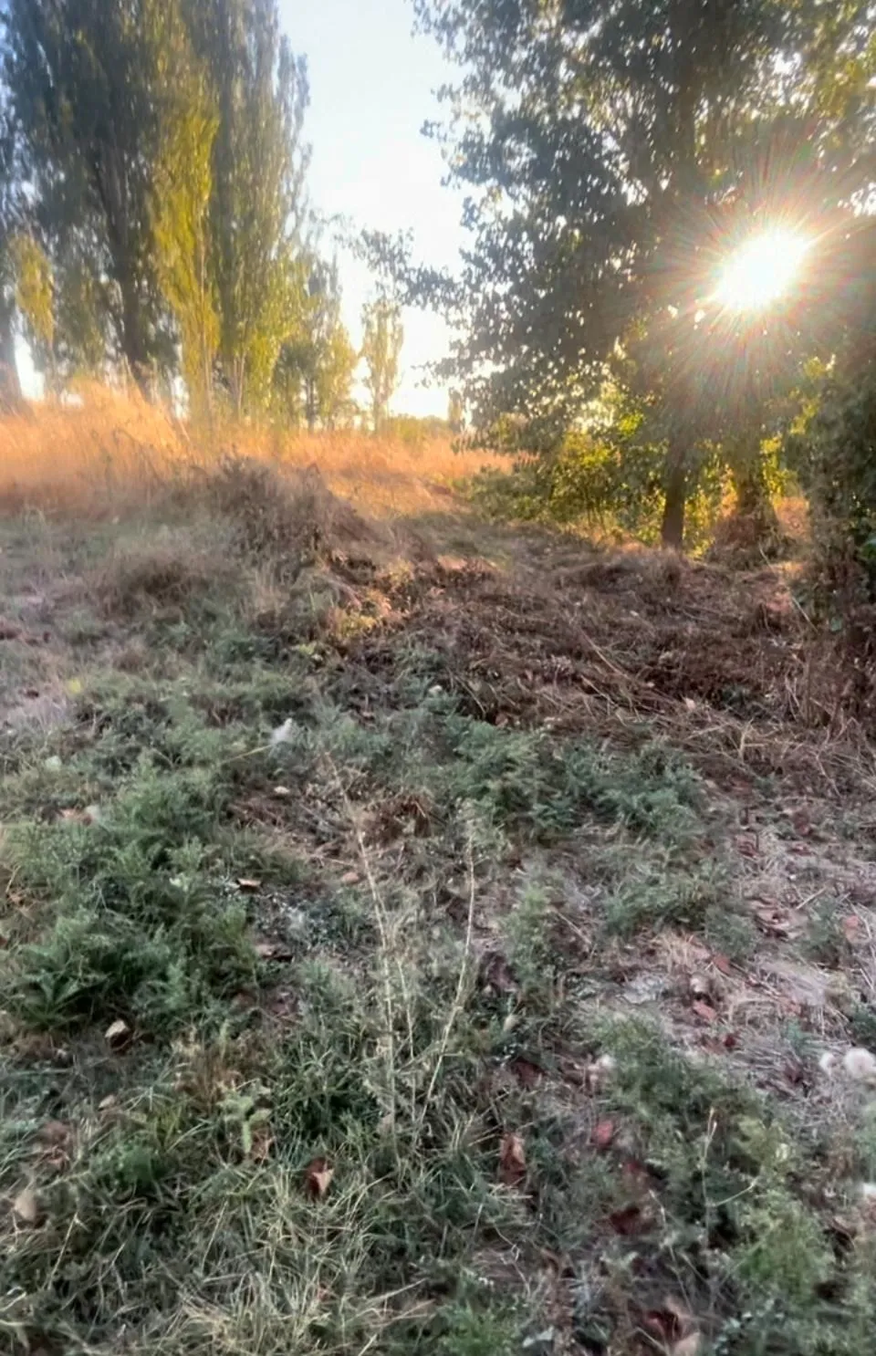 Imágenes del Parque El Inestal. Partido Popular