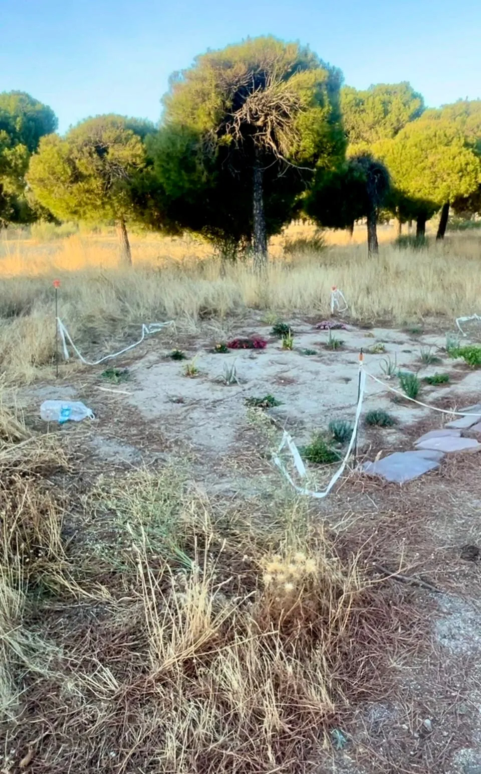 Imágenes del Parque El Inestal. Partido Popular