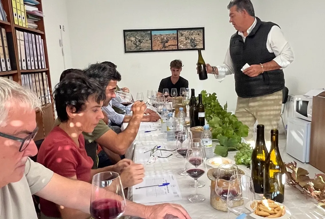 En total se presentaron 11 vinos