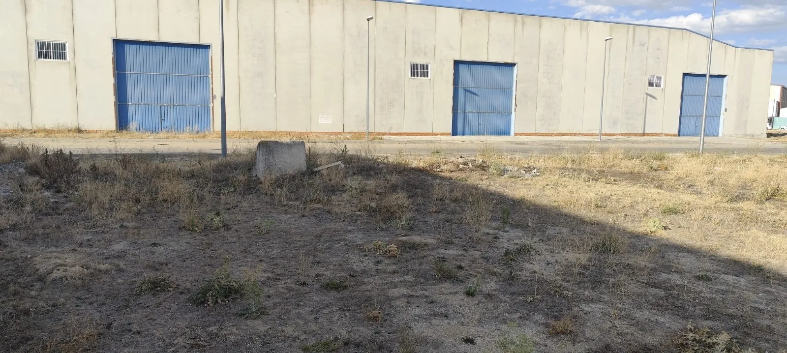 Foto 4 - Pe&ntilde;aranda en Com&uacute;n denuncia la situaci&oacute;n de abandono de las zonas verdes del pol&iacute;gono industrial El Inestal