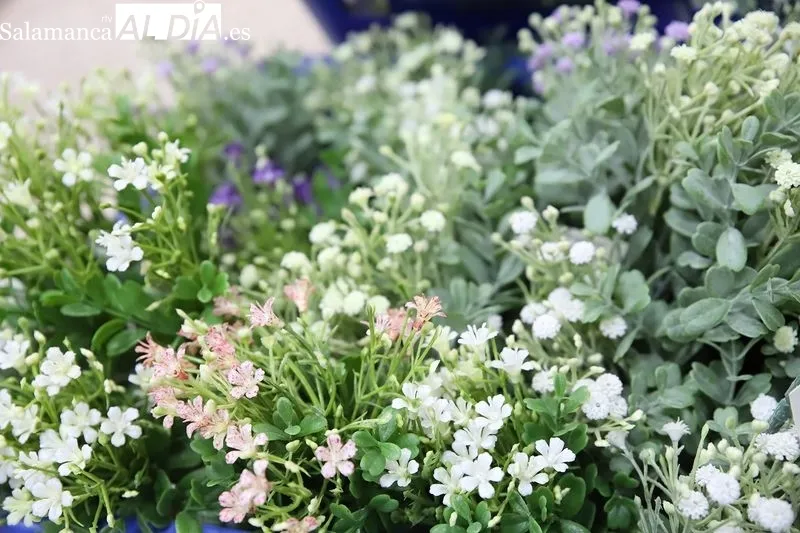 Foto 2 - Regalos Cosas: flores a medida para honrar la memoria en Todos los Santos