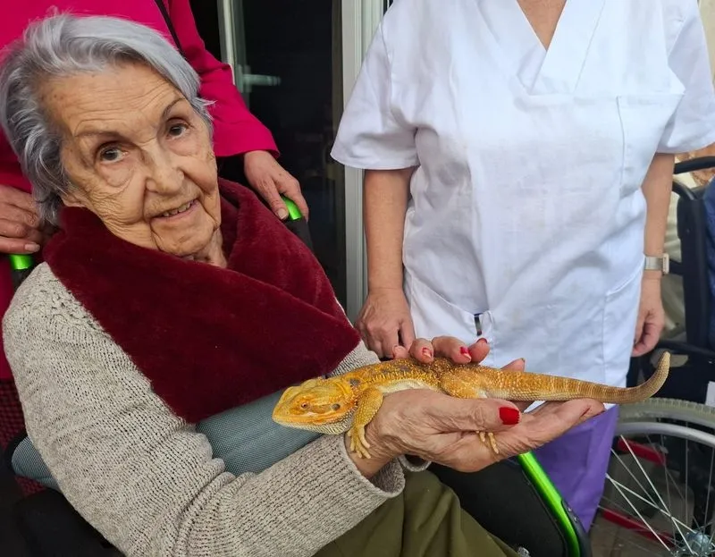 Foto 10 - La terapia con animales ex&oacute;ticos despierta sonrisas y recuerdos en los mayores de Gerialba