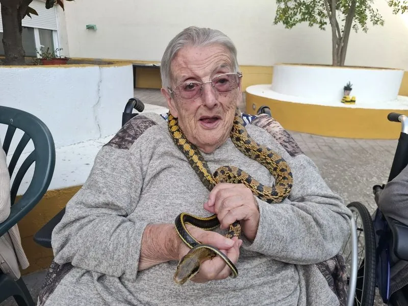 Foto 8 - La terapia con animales ex&oacute;ticos despierta sonrisas y recuerdos en los mayores de Gerialba
