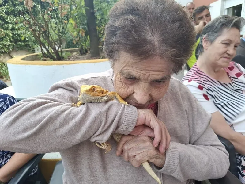 Foto 6 - La terapia con animales ex&oacute;ticos despierta sonrisas y recuerdos en los mayores de Gerialba