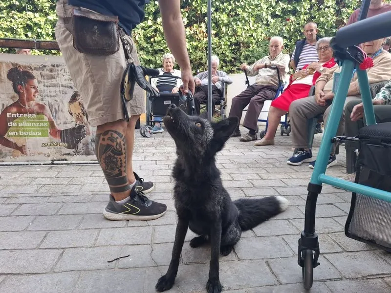 Foto 5 - La terapia con animales ex&oacute;ticos despierta sonrisas y recuerdos en los mayores de Gerialba