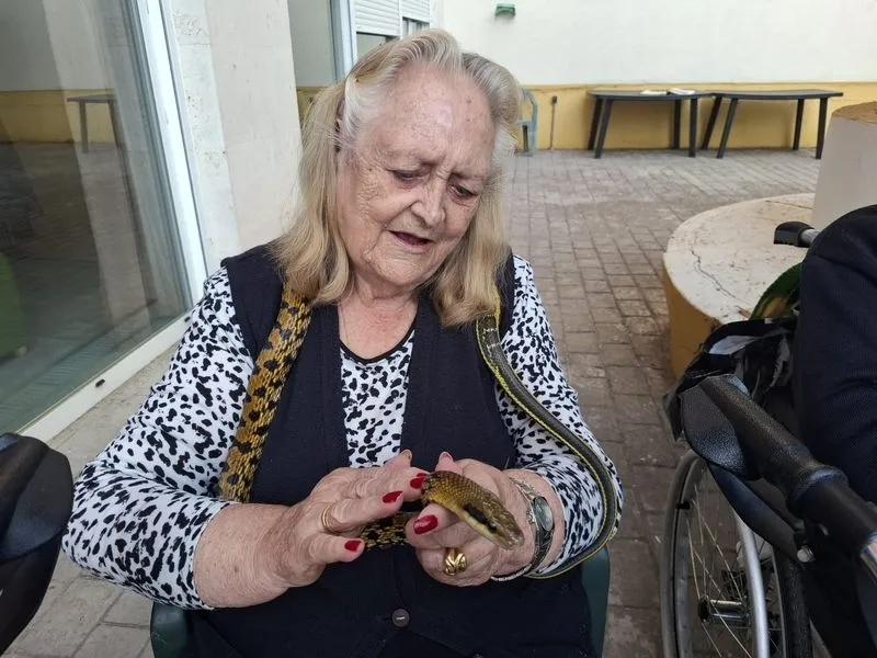 Foto 4 - La terapia con animales ex&oacute;ticos despierta sonrisas y recuerdos en los mayores de Gerialba