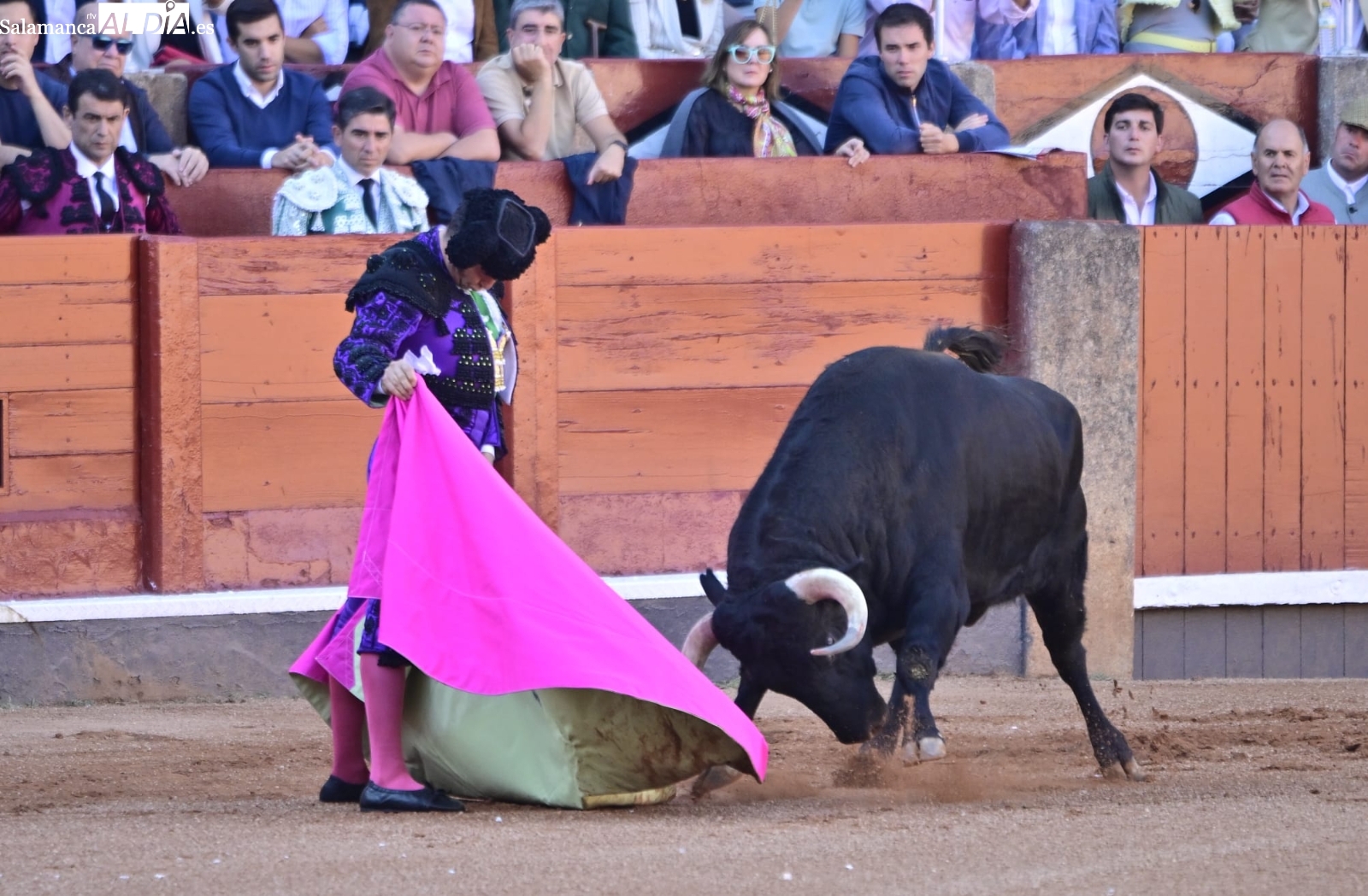 Premios Feria Taurina Salamanca 2025: lista de ganadores