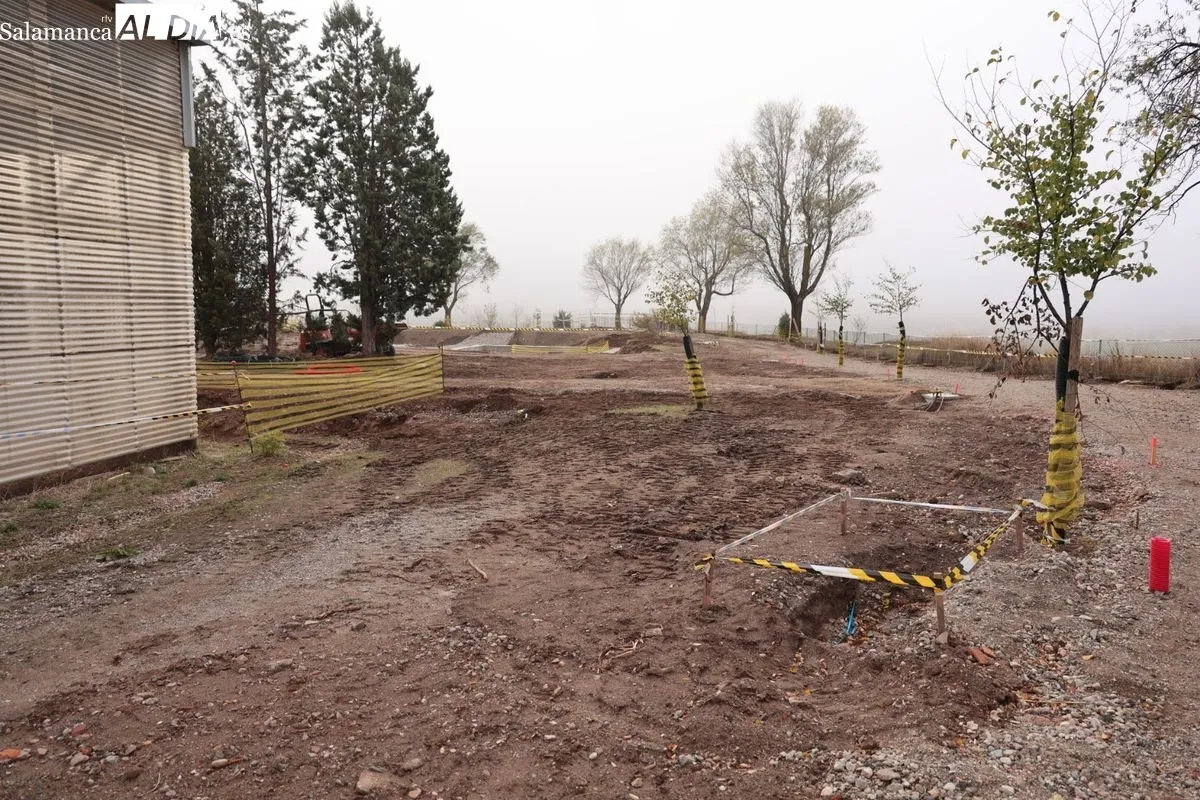 Nuevos e históricos hallazgos en el Cerro de San Vicente. Foto de David Sañudo