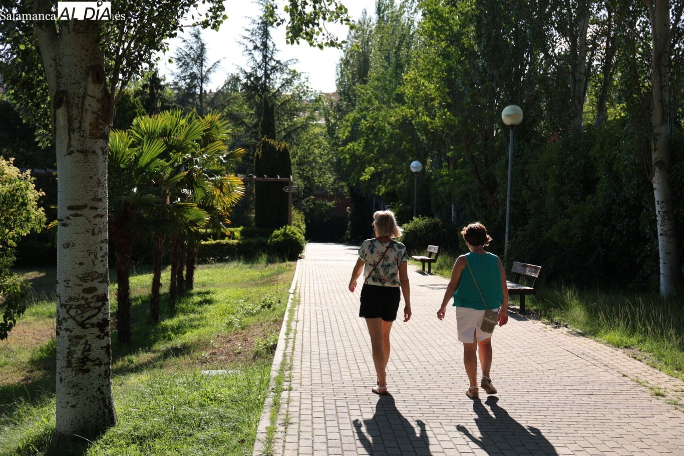 Ruido en Salamanca: la exposición de la población cae 5 puntos