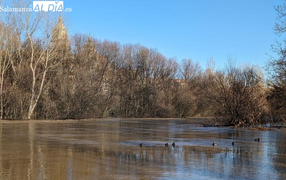 Voluntariado ambiental en Salamanca: crea refugios fauna