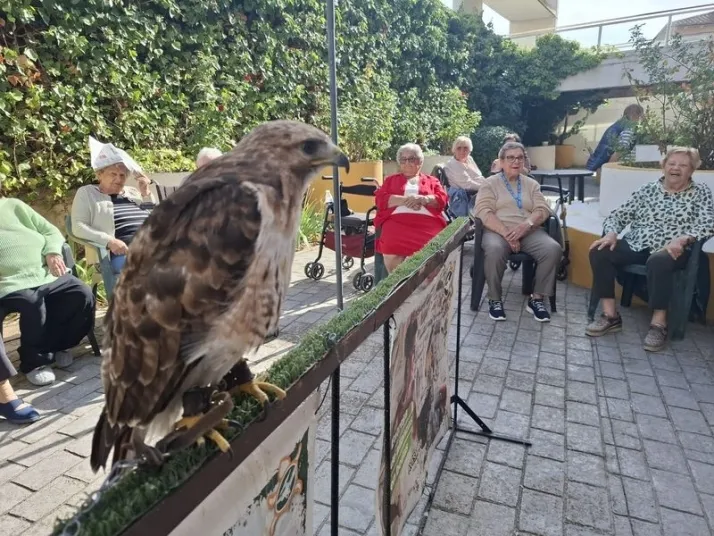 La terapia con animales ex&oacute;ticos despierta sonrisas y recuerdos en los mayores de Gerialba | Imagen 1