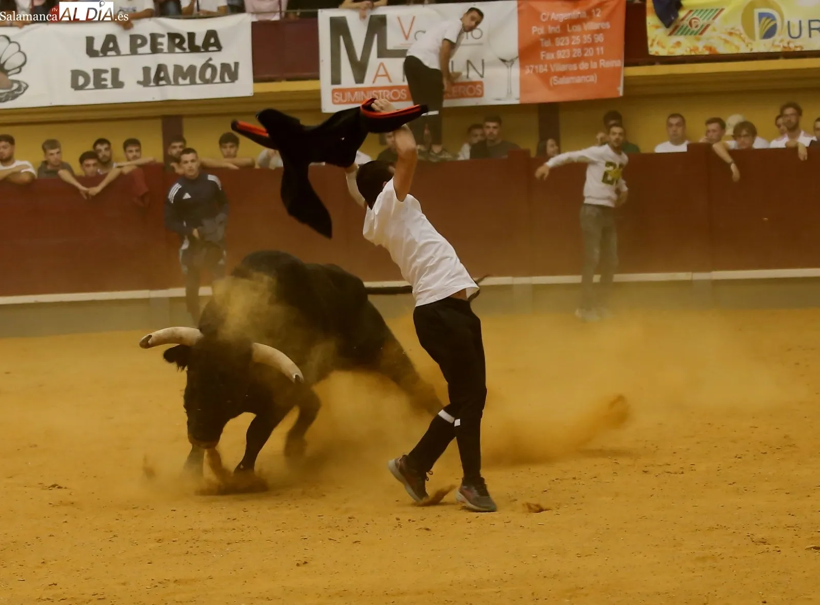 Foto 11 - La bravura de 'Reservado'
