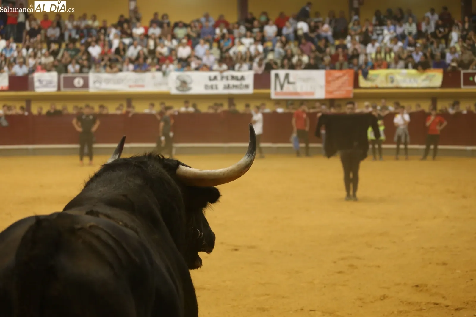 Foto 10 - La bravura de 'Reservado'