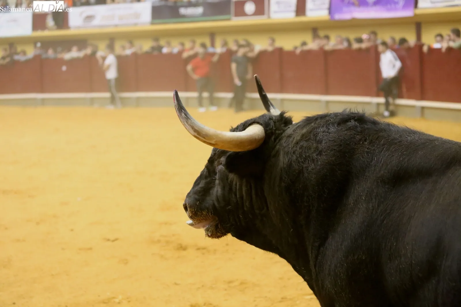 Foto 9 - La bravura de 'Reservado'