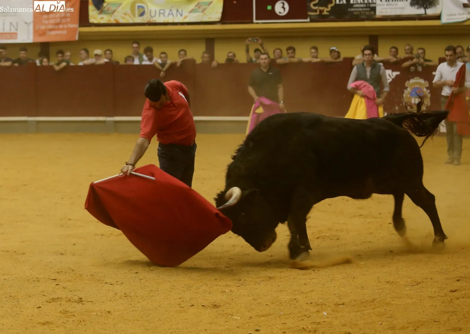 Foto 8 - La bravura de 'Reservado'