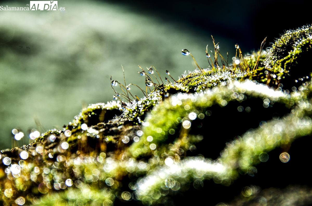 Vídeo poesía de Manuel Lamas titulada La vida humana