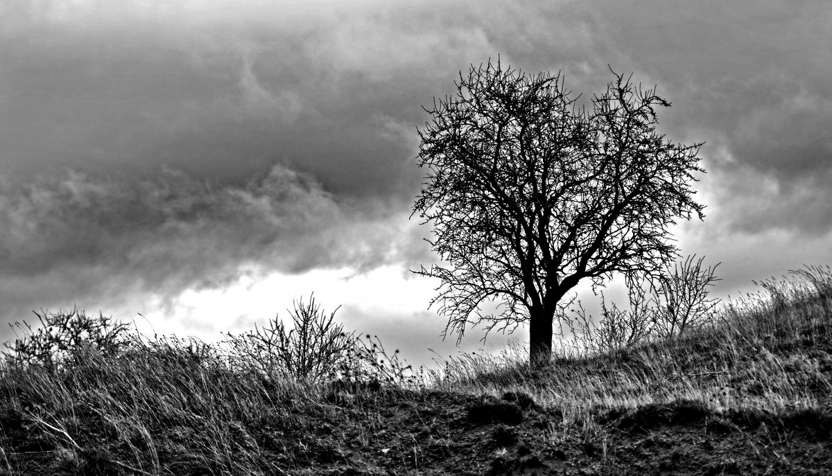 Junto al pantano de Santa Teresa