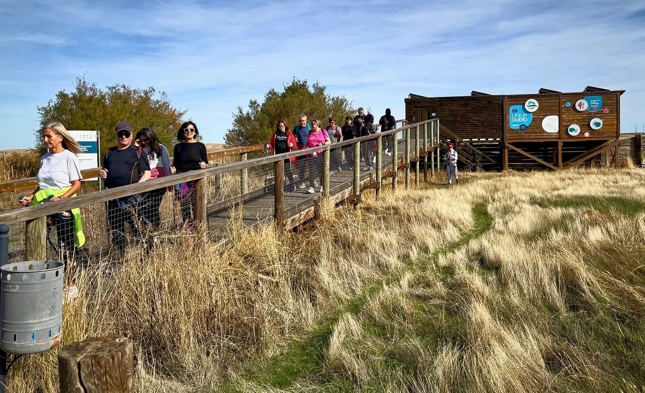 Foto 2 - Pe&ntilde;aranda apuesta por la salud y el deporte en la naturaleza con una jornada de marcha n&oacute;rdica en El Oso (&Aacute;vila)