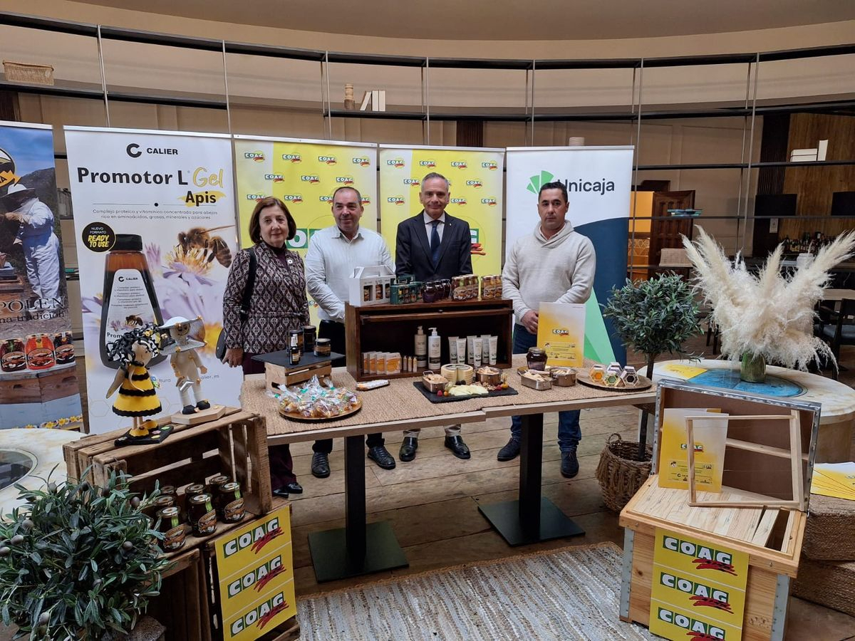 Crisis apícola en Salamanca: cae la producción un 70 %