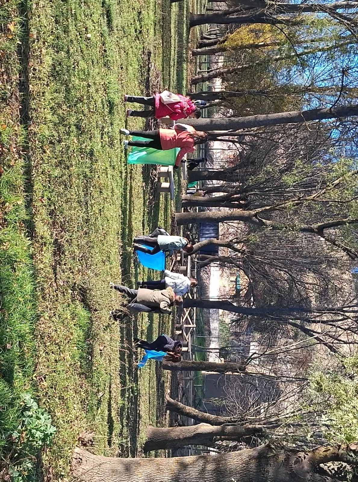 Foto 4 - El Parador suma al Grupo Antorcha y a la AMPA de Misioneras a su nueva recogida de basuraleza