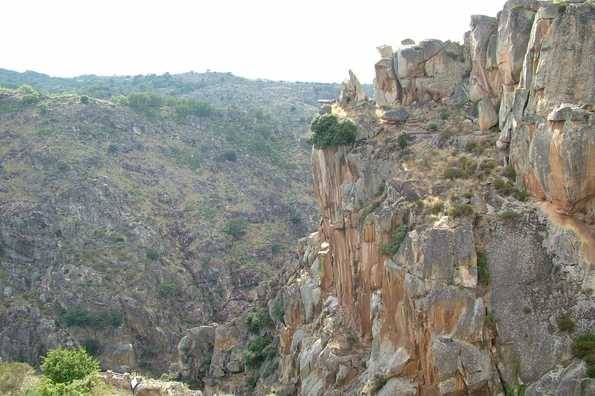 Jornada sobre el futuro rural en Saldeana: gratis y con bus
