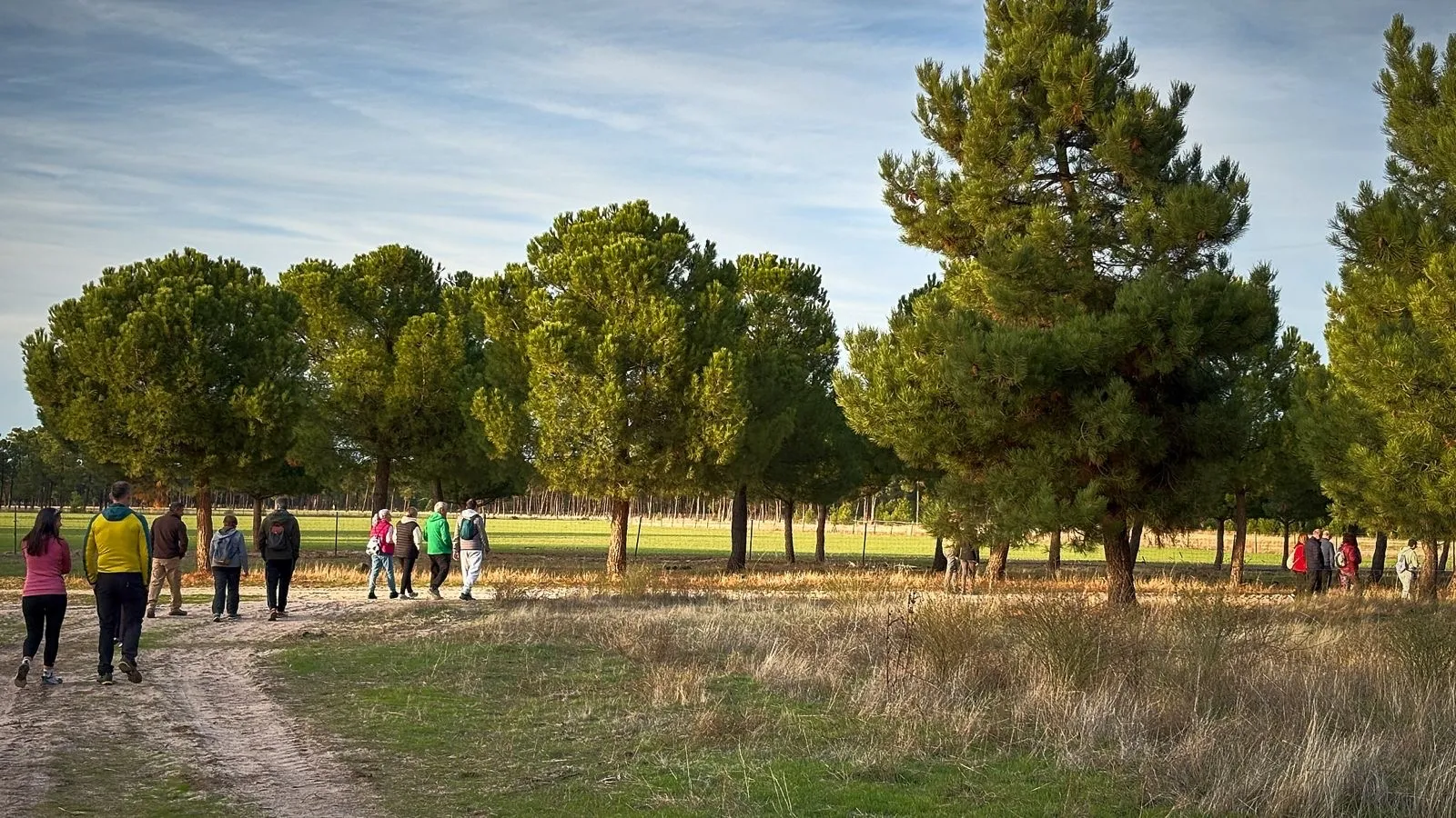 Foto 4 - Pe&ntilde;aranda apuesta por la salud y el deporte en la naturaleza con una jornada de marcha n&oacute;rdica en El Oso (&Aacute;vila)