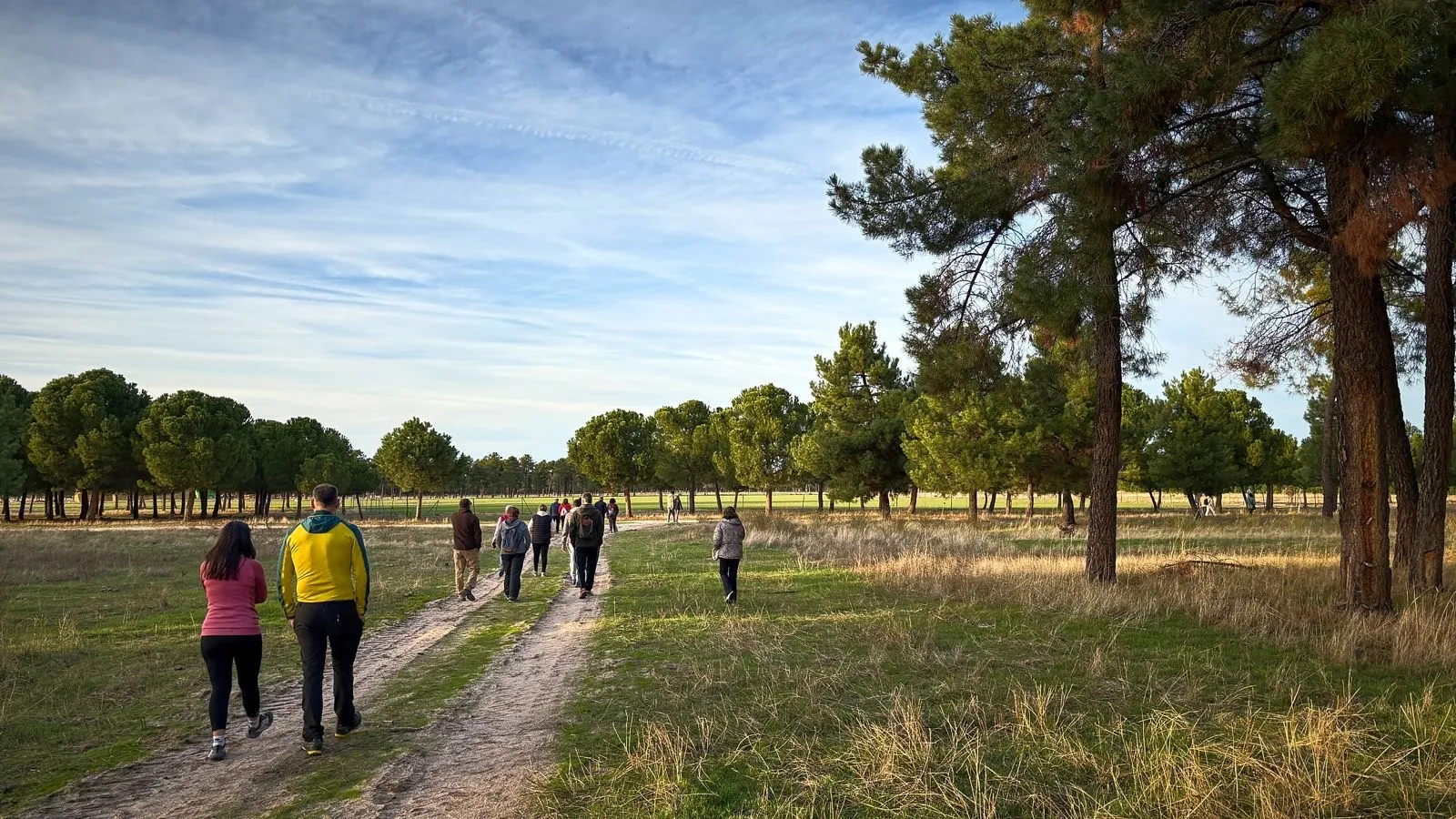 Foto 6 - Pe&ntilde;aranda apuesta por la salud y el deporte en la naturaleza con una jornada de marcha n&oacute;rdica en El Oso (&Aacute;vila)