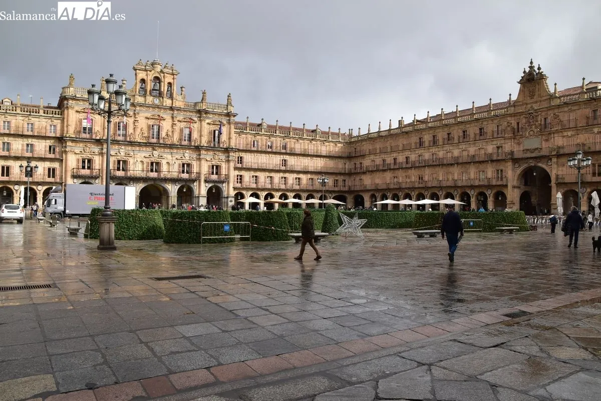 El gran árbol de Navidad llega a la Plaza Mayor de Salamanca | Fotos: T.S