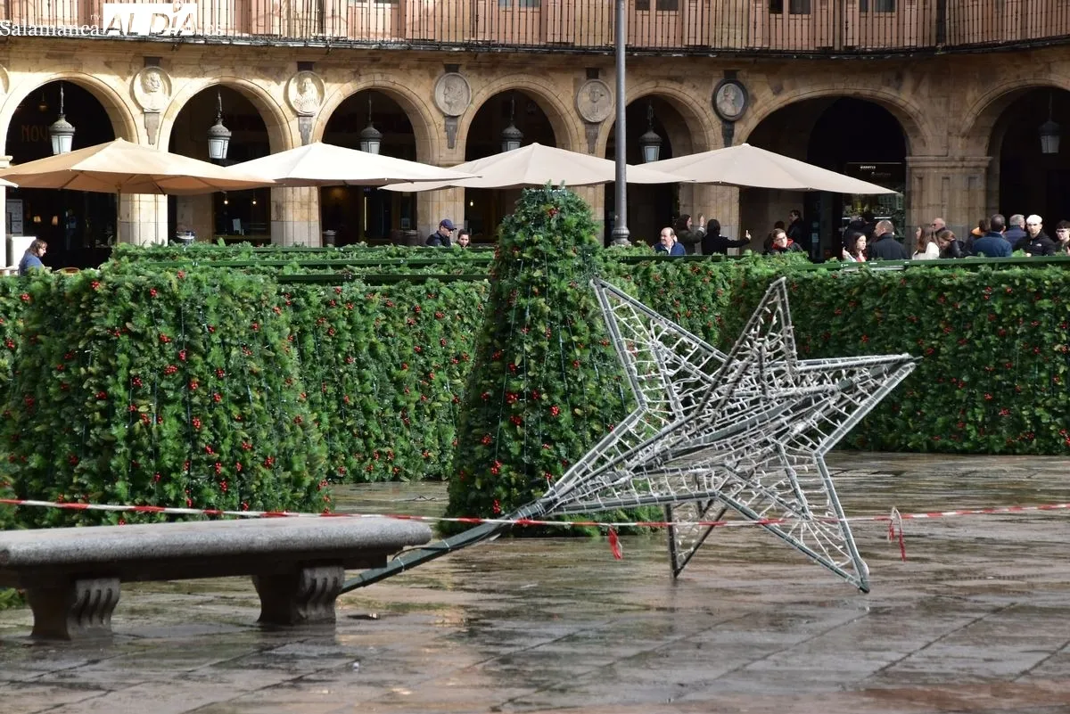 El gran árbol de Navidad llega a la Plaza Mayor de Salamanca | Fotos: T.S