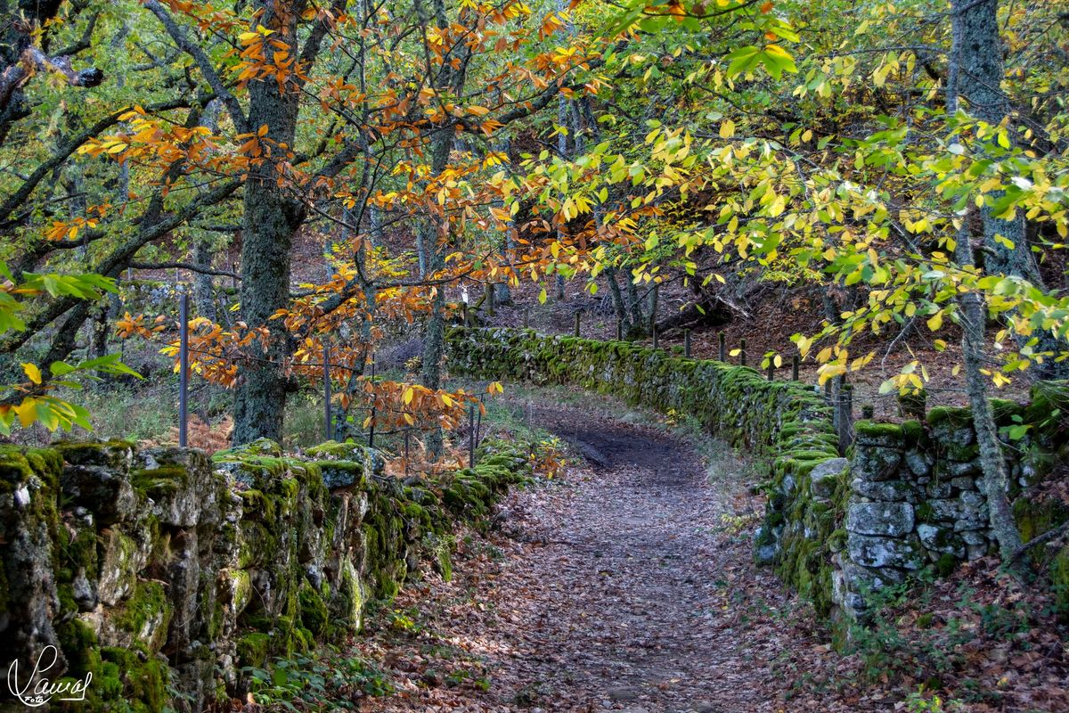 Foto de Manuel Lamas