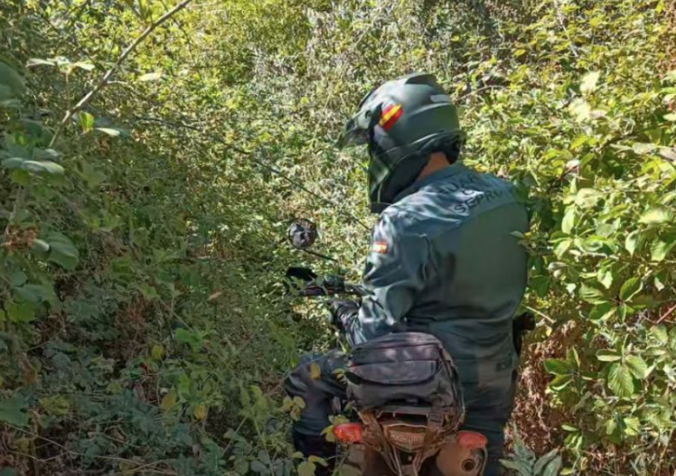 Caza ilegal en Macotera: tres investigados por el SEPRONA