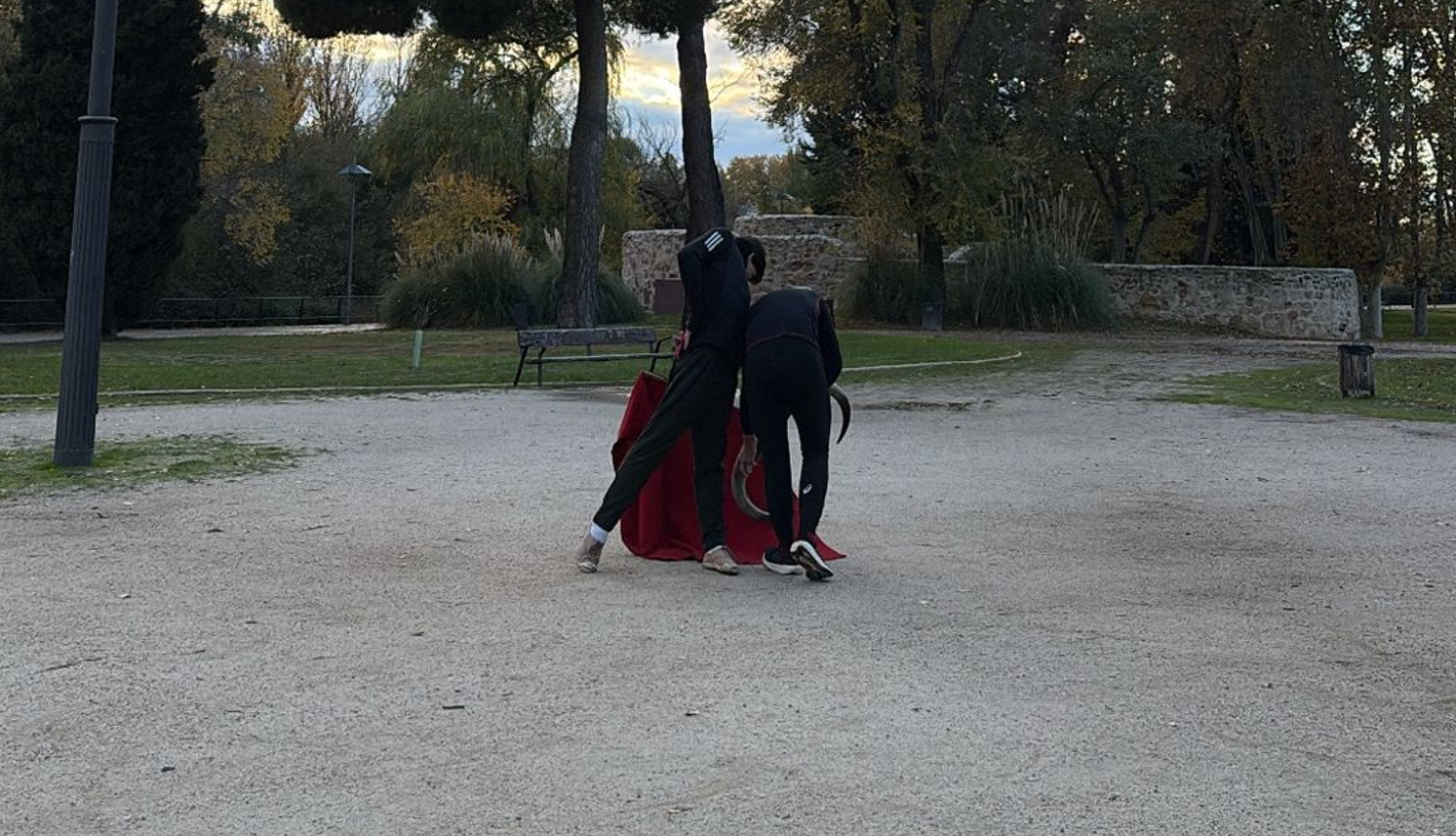 Julio Norte vuelve a torear