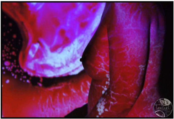 Exposición 25N Salamanca: CCOO presenta Proyecto Aletheia