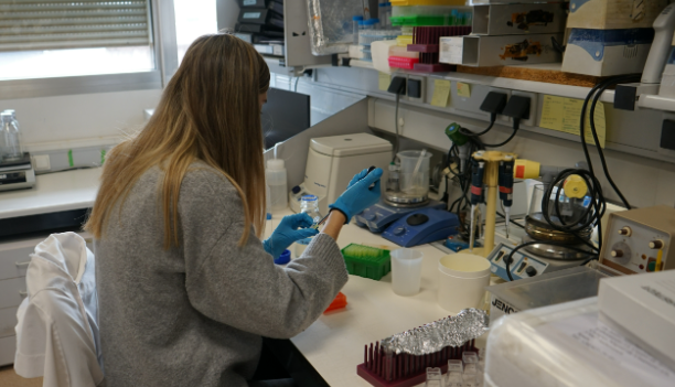 Prevenir la leucemia infantil: 1M€ para el CIC Salamanca