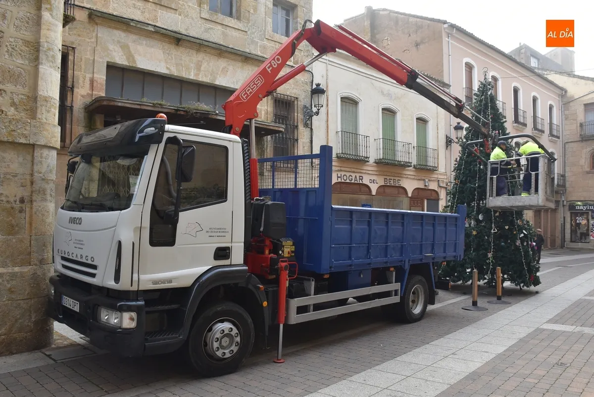 Foto 2 - Operarios municipales levantan el &aacute;rbol de Navidad de la calle Madrid