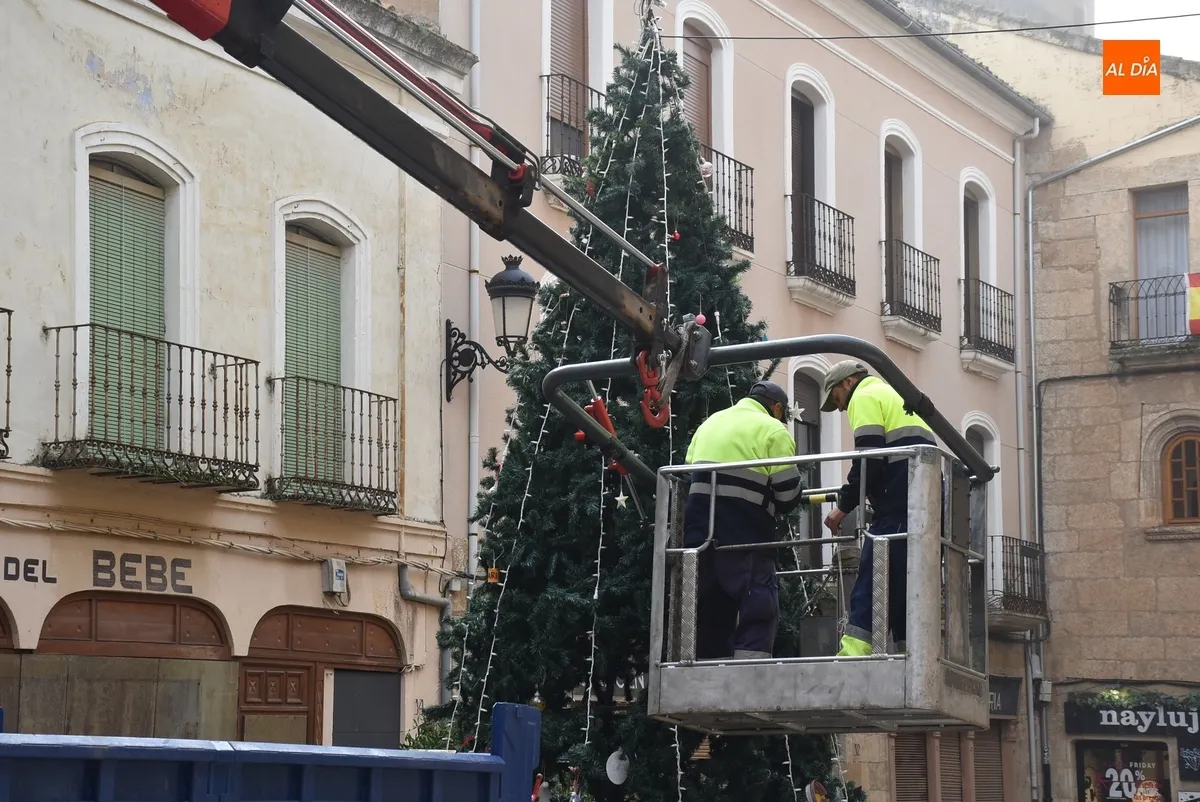 Foto 3 - Operarios municipales levantan el &aacute;rbol de Navidad de la calle Madrid